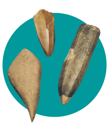 Ancient Stone Tool in iran